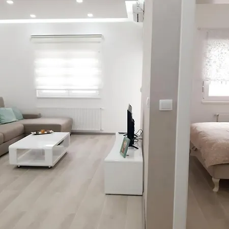 Djordje Apartment Banja Koviljača
